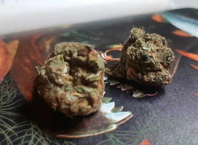 Mega buy a bookmark in Perm, Marijuana buy 3g.webp