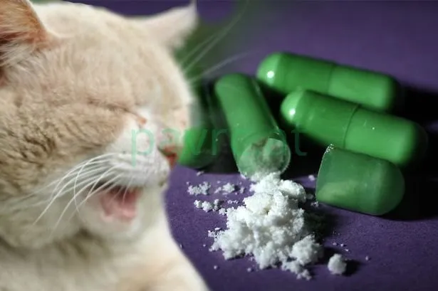 Mephedrone.webp