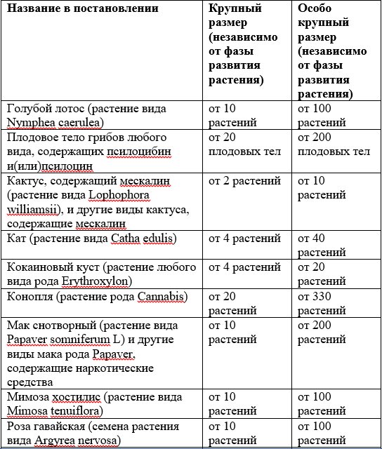 Растения. Размеры. Для статьи 231 УК РФ .jpg
