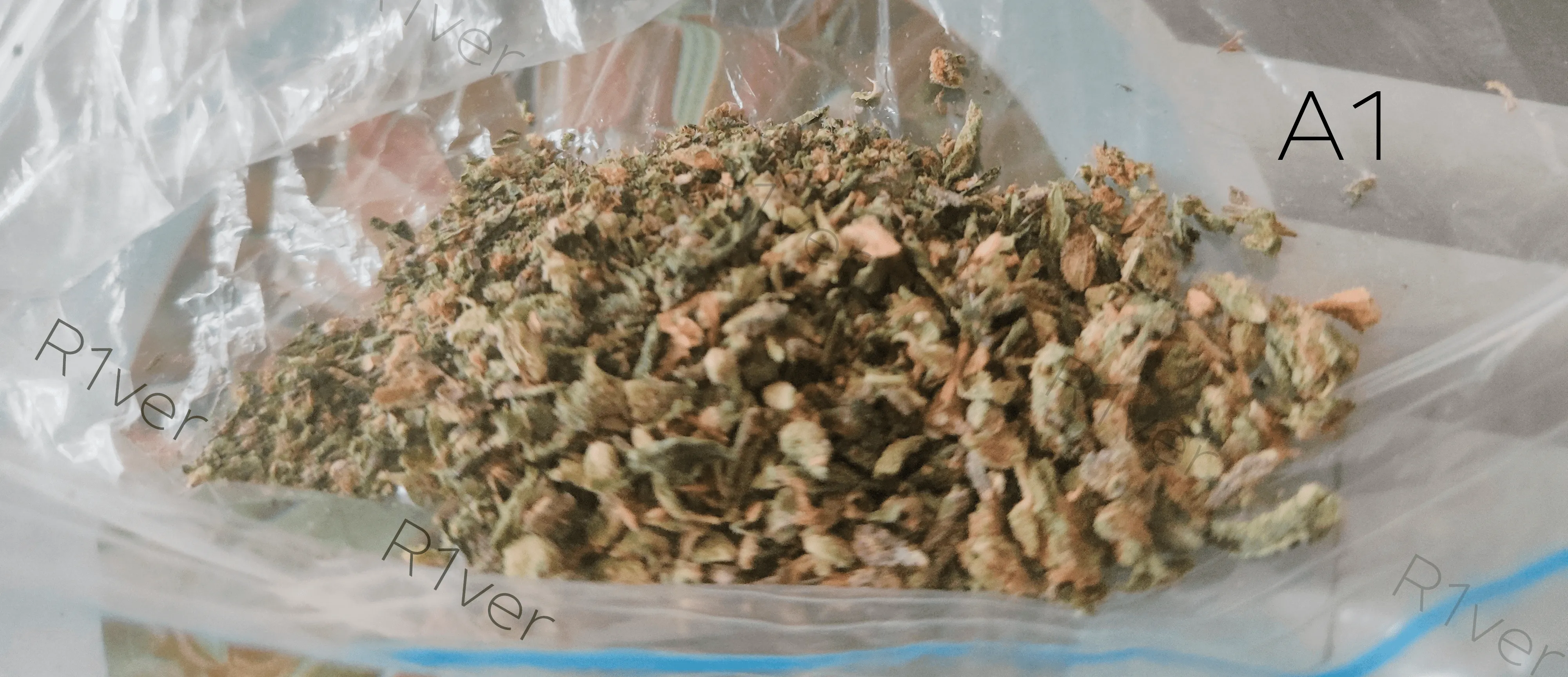 Recipe - Cannabis Pancakes, Grind Cannabis.webp