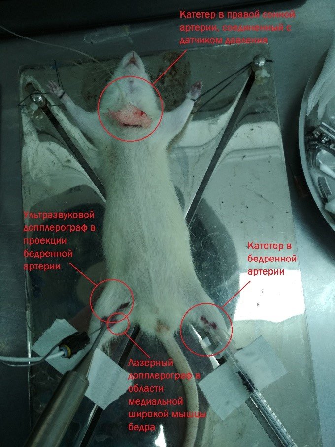 Рисунок 4. Расположение датчиков на исследуемом объекте.jpg