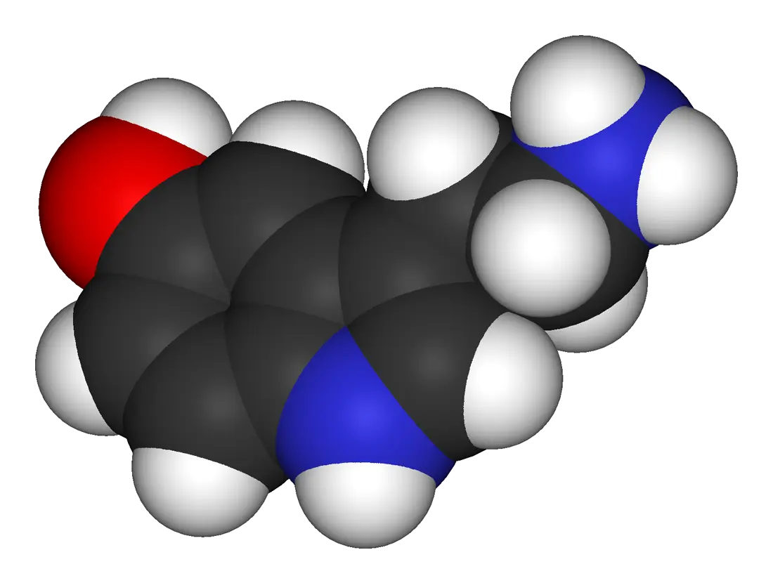 Serotonin-3D-vdW.png