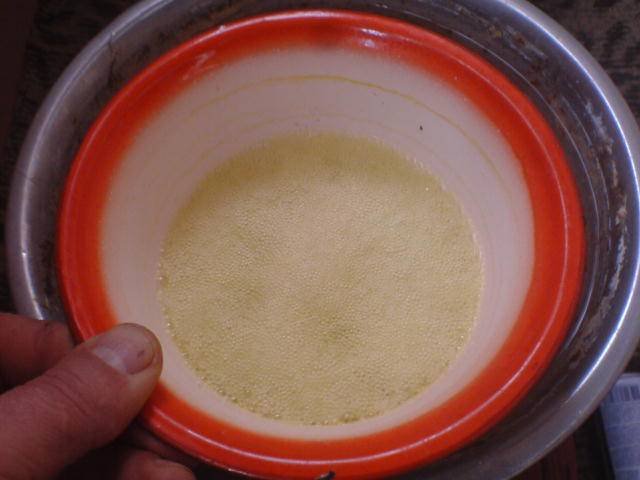 Speed up the hydra process by putting a bowl of extract in a bowl of warm water.jpg