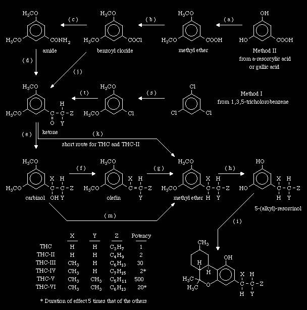 THC Synthesis - Overview.jpg
