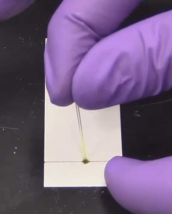 The hydra of the start line is applied by the capillary to the analyzed mixture.jpg