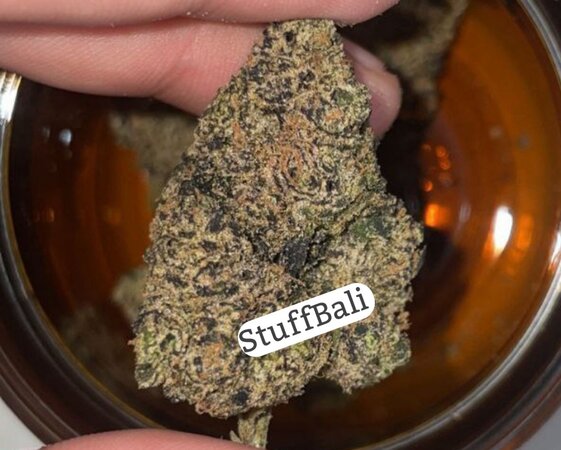 Bali Weed Lemon Cherry Gelato Bali Weed Lemon Cherry Gelato