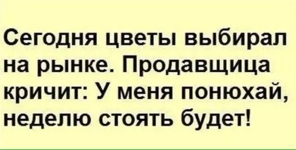 НАТУРАЛЬНЫЕ ПРОДУКТЫ ГИДРА.webp