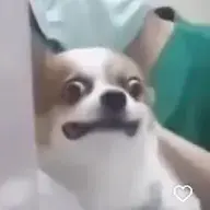 Romkaarma