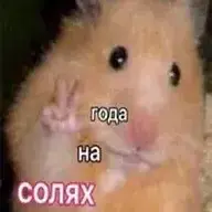 Topbanana1
