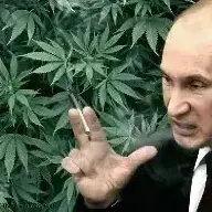 RohanKronans