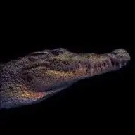 Mamacwilamnewtani