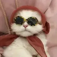 Чешир