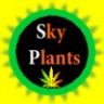 Sunny_Sky Plants